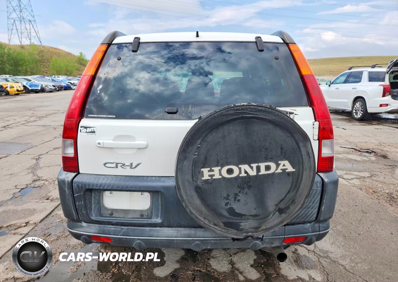 2004 Honda Cr-V Ex VIN:JHLRD788X4C038518 - 6