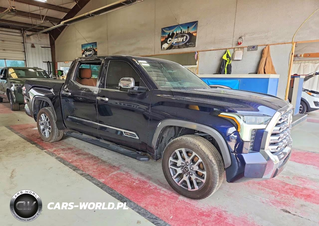 2024 Toyota Tundra Crewmax Platinum VIN:5TFMA5DB1RX189723 - 4