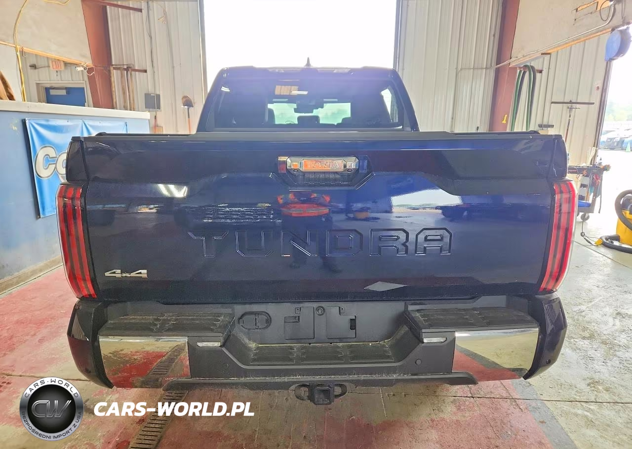 2024 Toyota Tundra Crewmax Platinum VIN:5TFMA5DB1RX189723 - 6
