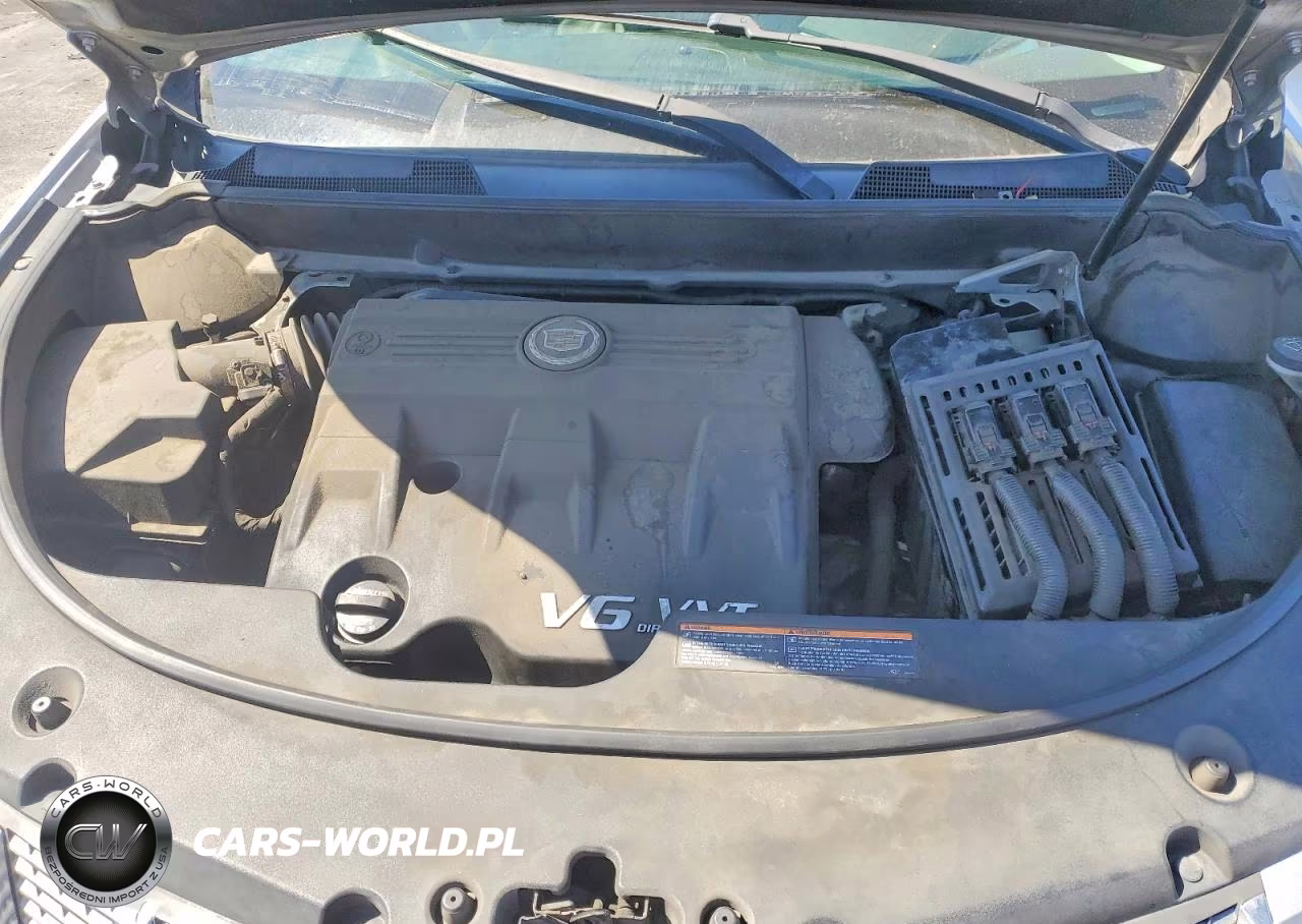 2012 Cadillac Srx VIN:3GYFNGE3XCS645771 - 12