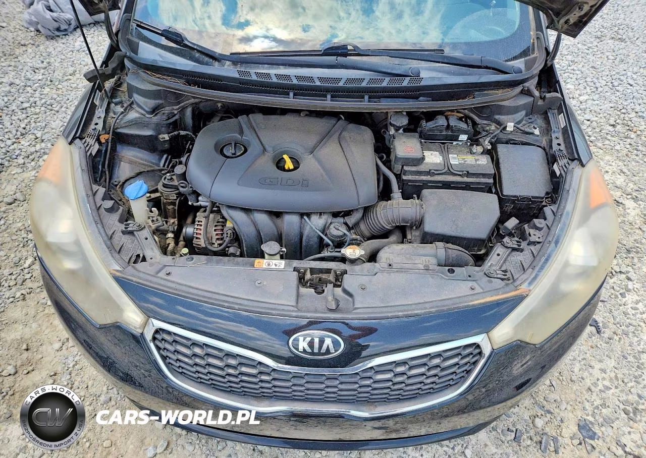 2015 Kia Forte Ex VIN:KNAFZ4A81F5264512 - 11