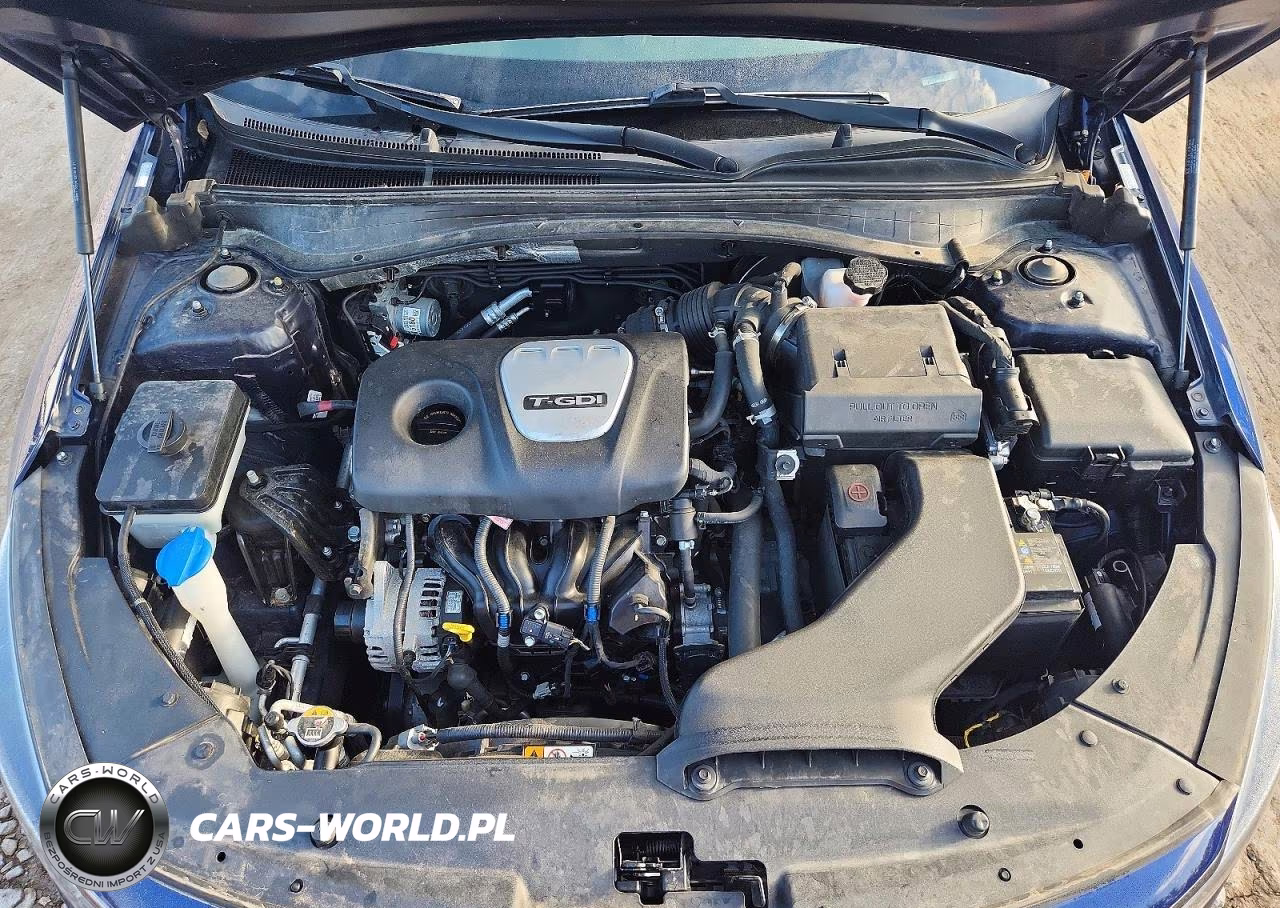 2019 Kia Optima Ex VIN:5XXGU4L14KG354264 - 11