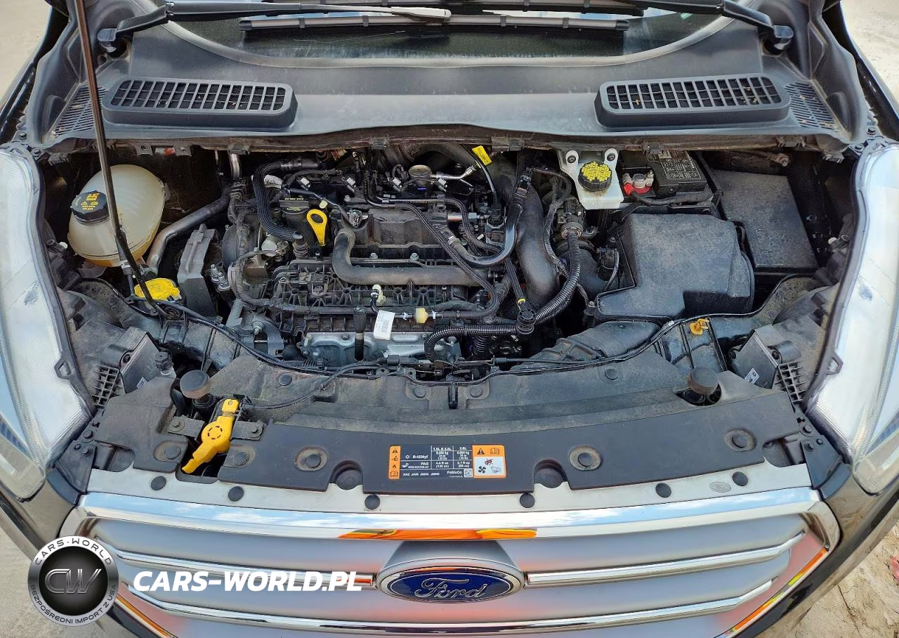 2017 Ford Escape Titanium VIN:1FMCU0JD8HUB52644 - 11