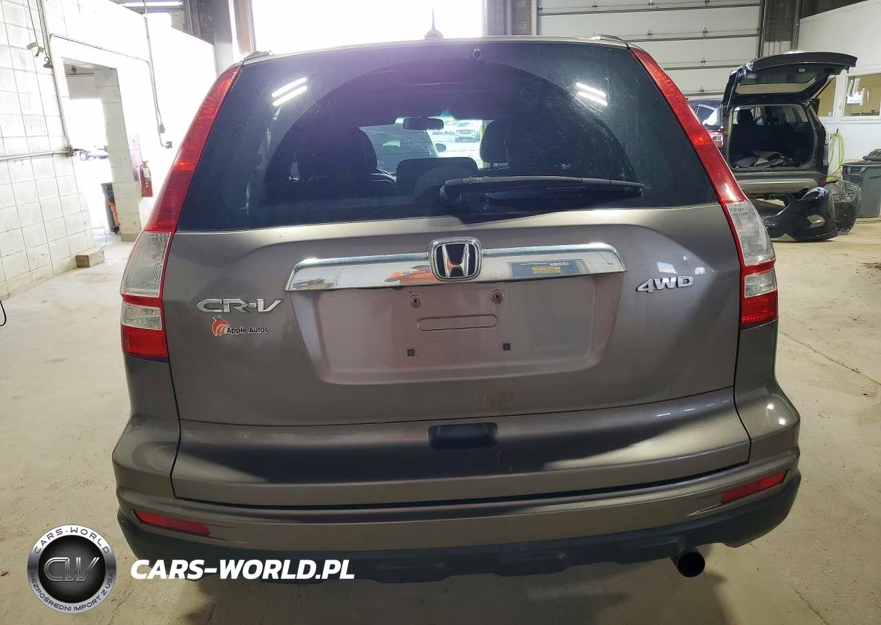 2010 Honda Cr-V Exl VIN:5J6RE4H71AL100636 - 6