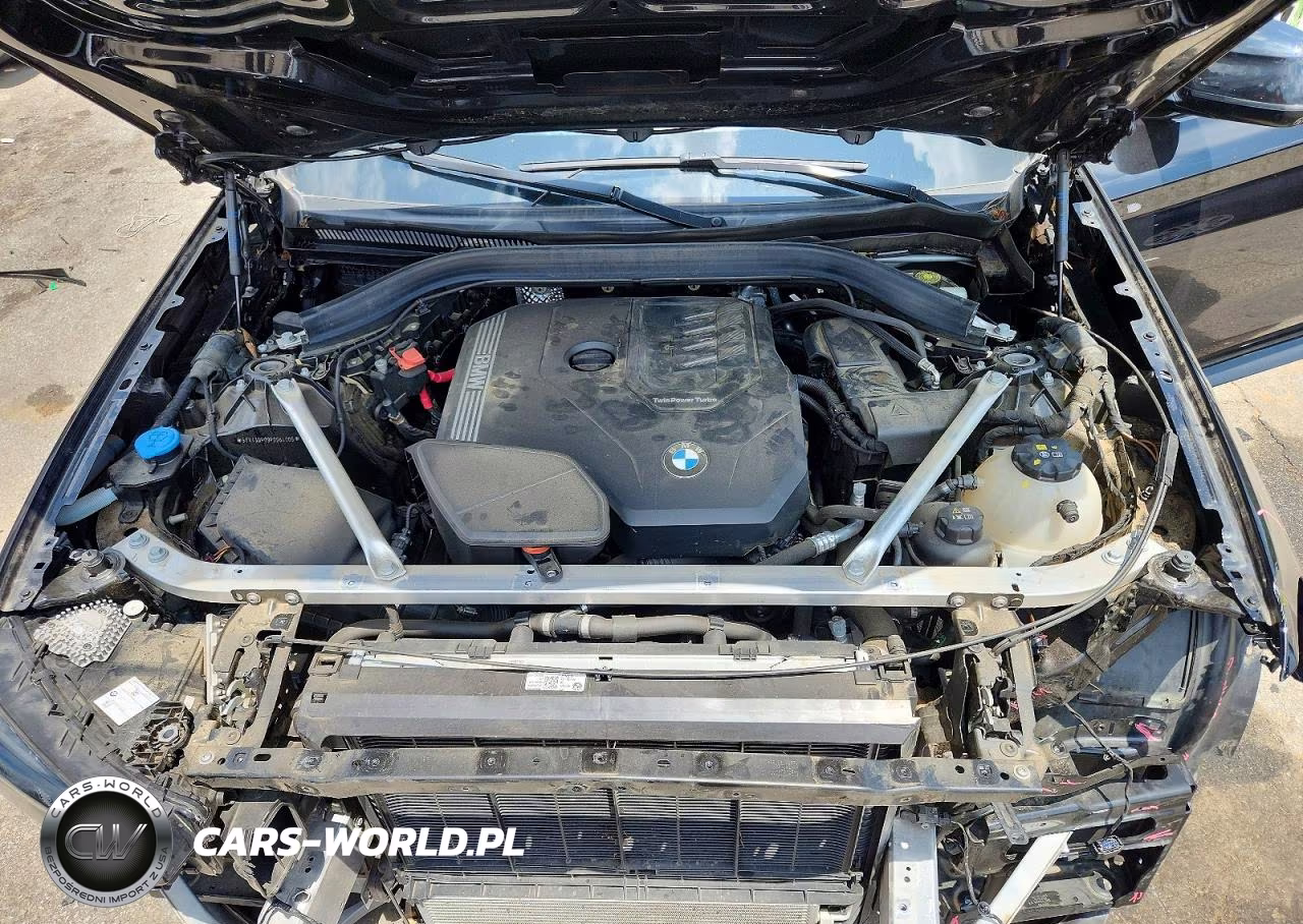 2023 BMW X3 Sdrive30I VIN:5UX43DP09P9S64005 - 11