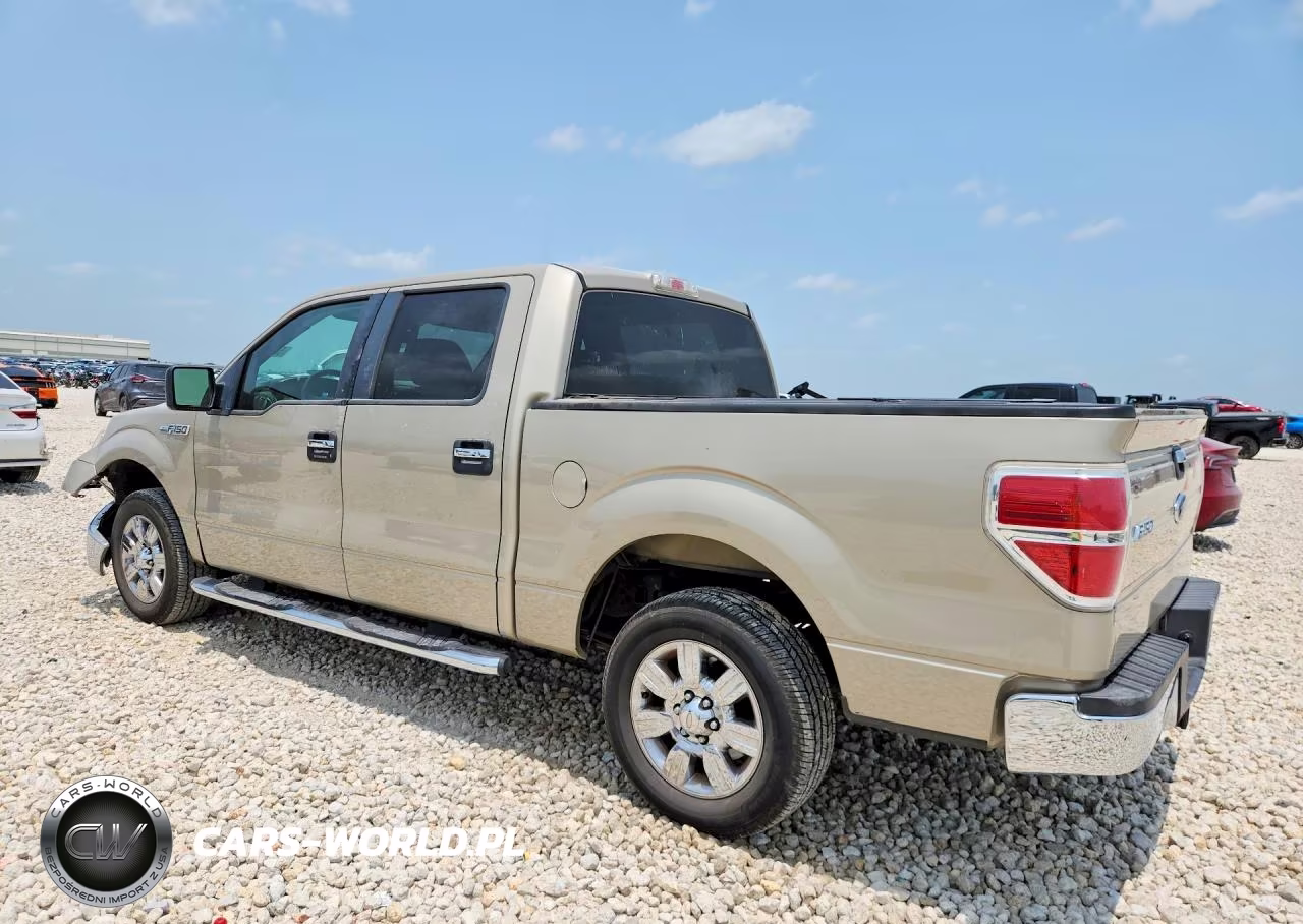 2009 Ford F150 Supercrew VIN:1FTRW12829FA38306 - 2