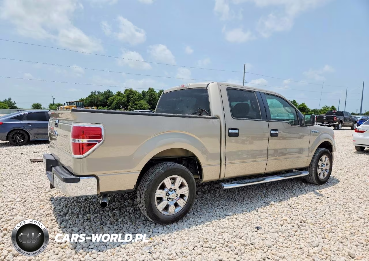 2009 Ford F150 Supercrew VIN:1FTRW12829FA38306 - 3