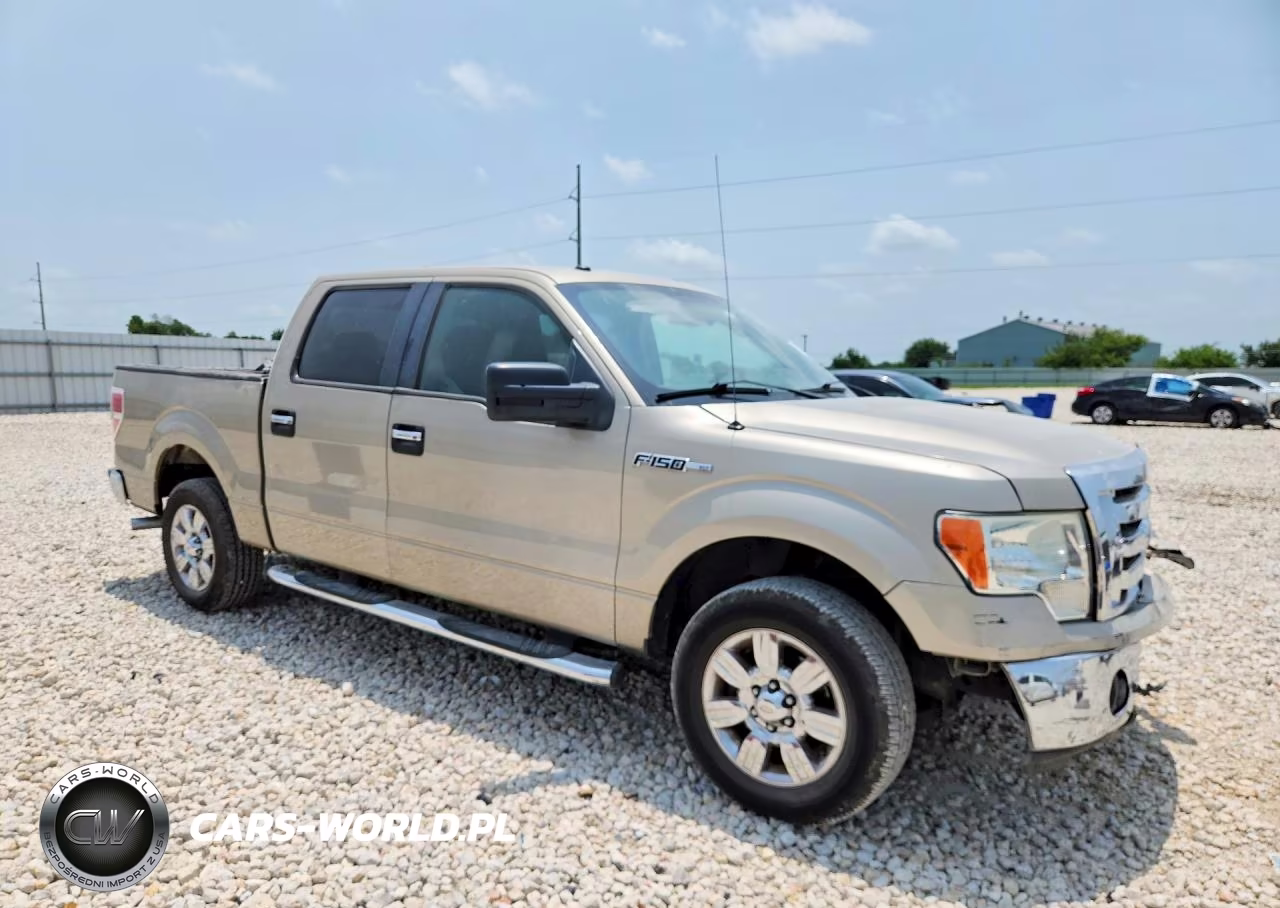 2009 Ford F150 Supercrew VIN:1FTRW12829FA38306 - 4