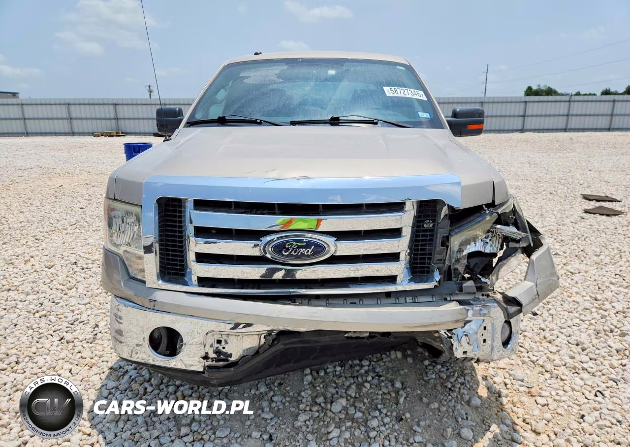 2009 Ford F150 Supercrew VIN:1FTRW12829FA38306 - 5