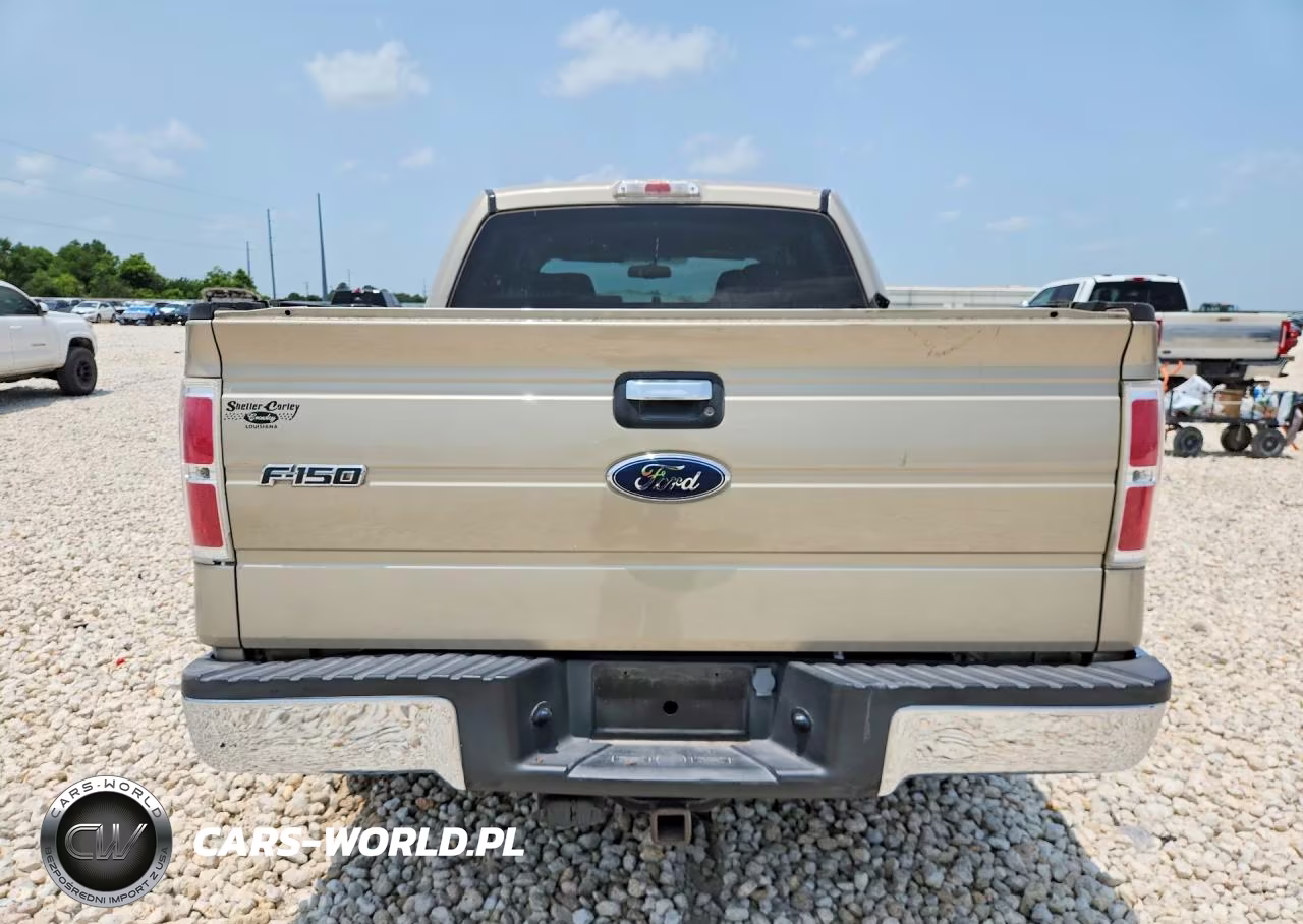2009 Ford F150 Supercrew VIN:1FTRW12829FA38306 - 6