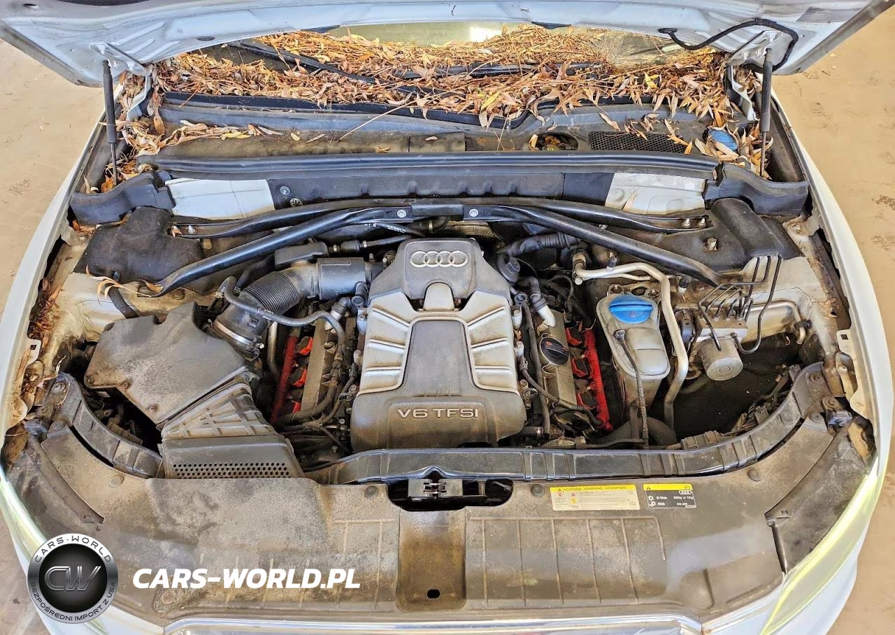 2013 Audi Q5 Premium Plus VIN:WA1DGAFP3DA057407 - 12