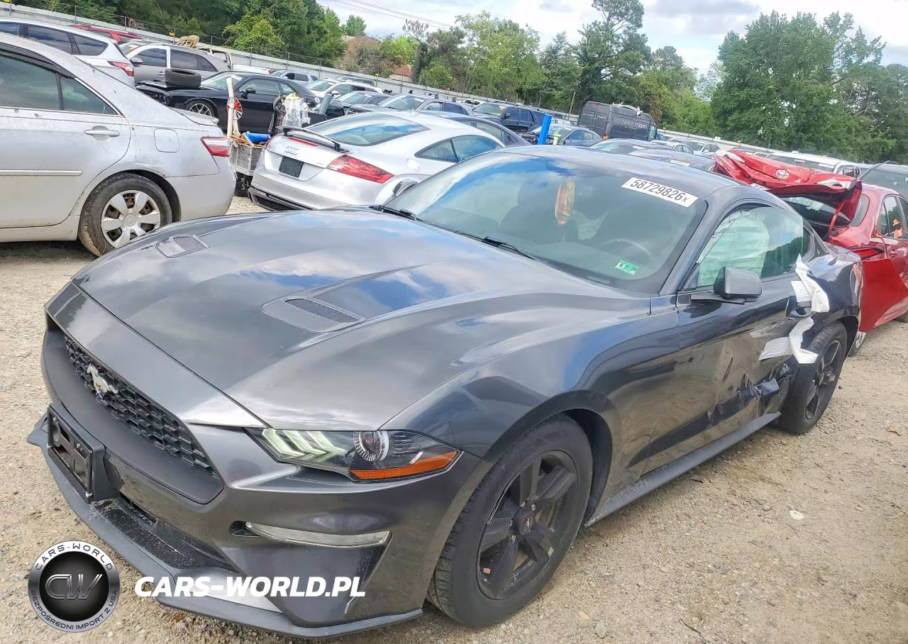 2019 Ford Mustang