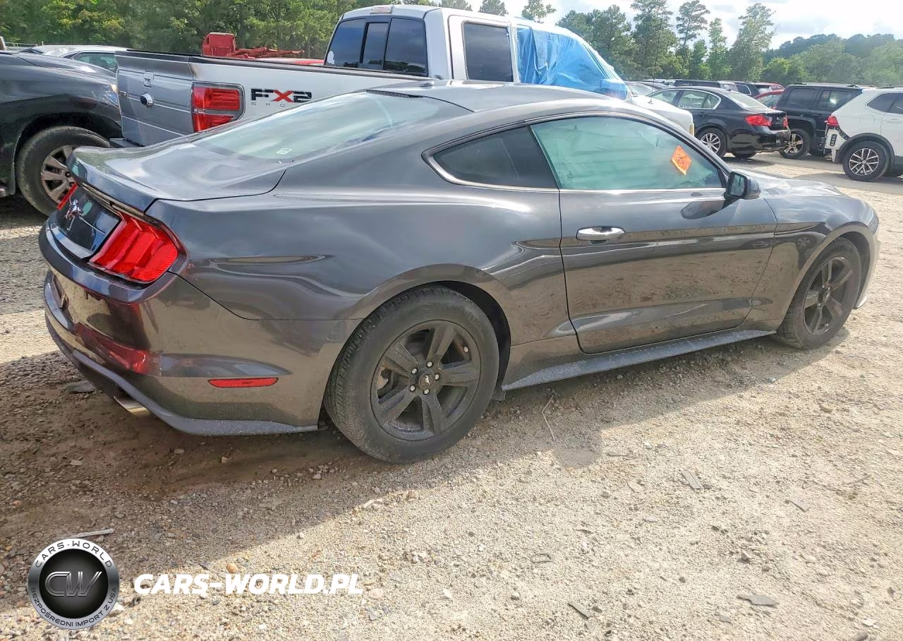 2019 Ford Mustang VIN:1FA6P8TH6K5105840 - 3