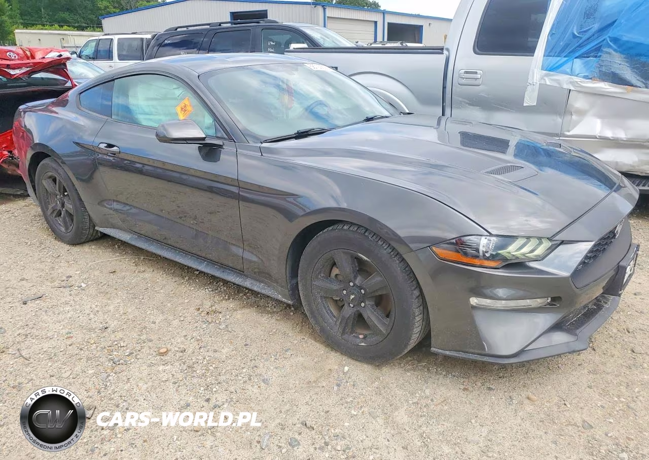 2019 Ford Mustang VIN:1FA6P8TH6K5105840 - 4