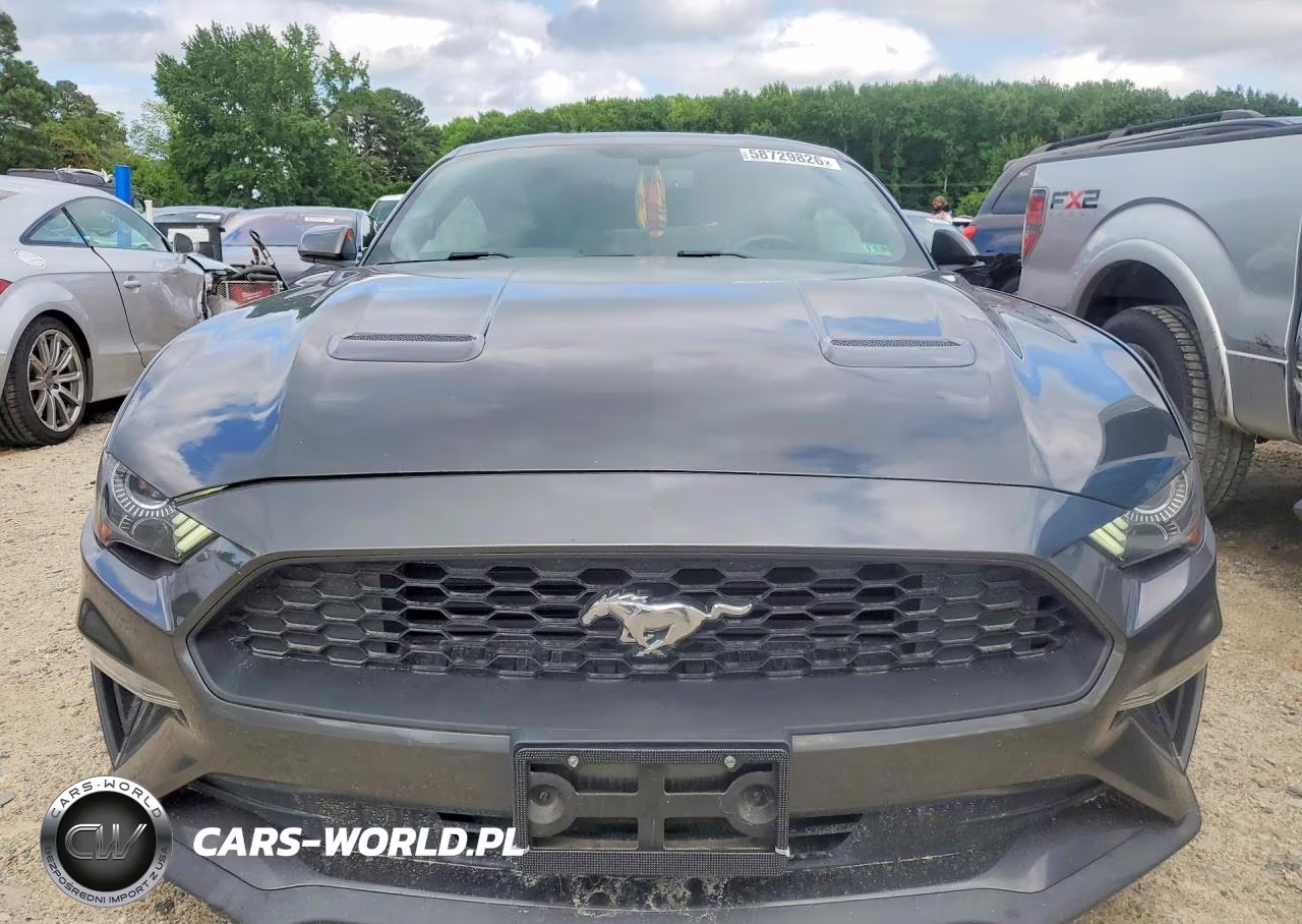 2019 Ford Mustang VIN:1FA6P8TH6K5105840 - 5