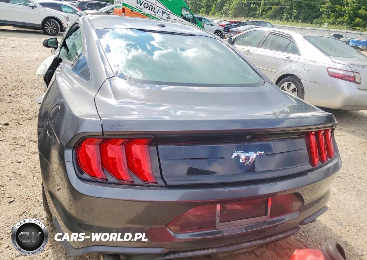 2019 Ford Mustang VIN:1FA6P8TH6K5105840 - 6