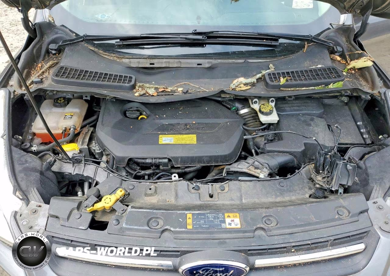 2013 Ford Escape Se VIN:1FMCU0GX8DUD62494 - 12