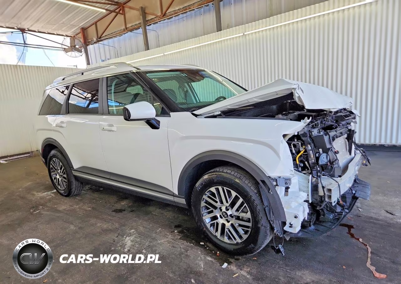 2026 Hyundai Palisade Sel VIN:KM8RLES22TU064172 - 4