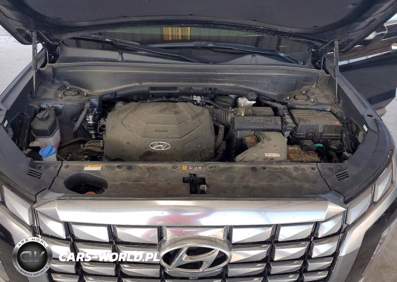 2024 Hyundai Palisade Calligraphy VIN:KM8R7DGE4RU647627 - 11