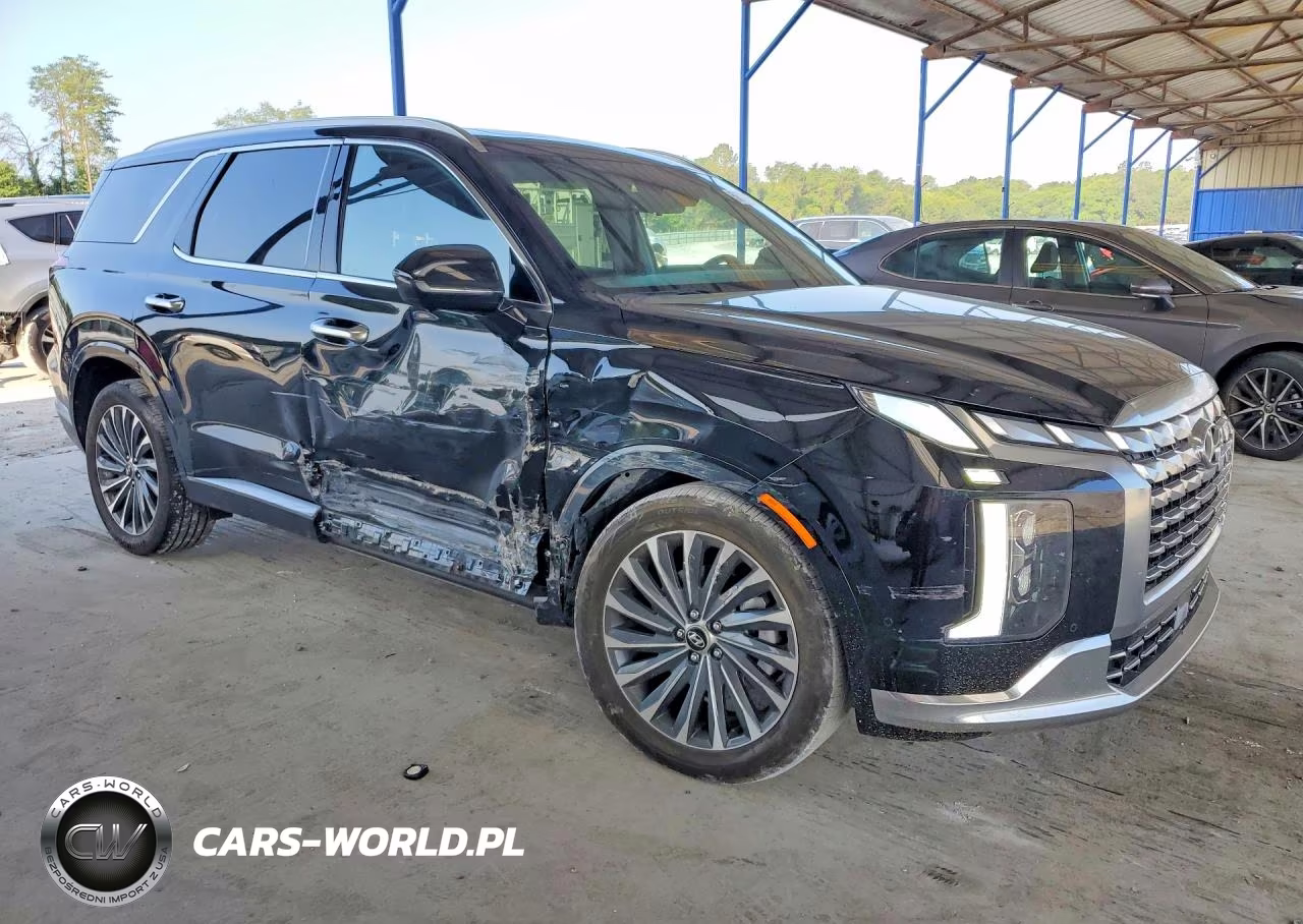 2024 Hyundai Palisade Calligraphy VIN:KM8R7DGE4RU647627 - 4