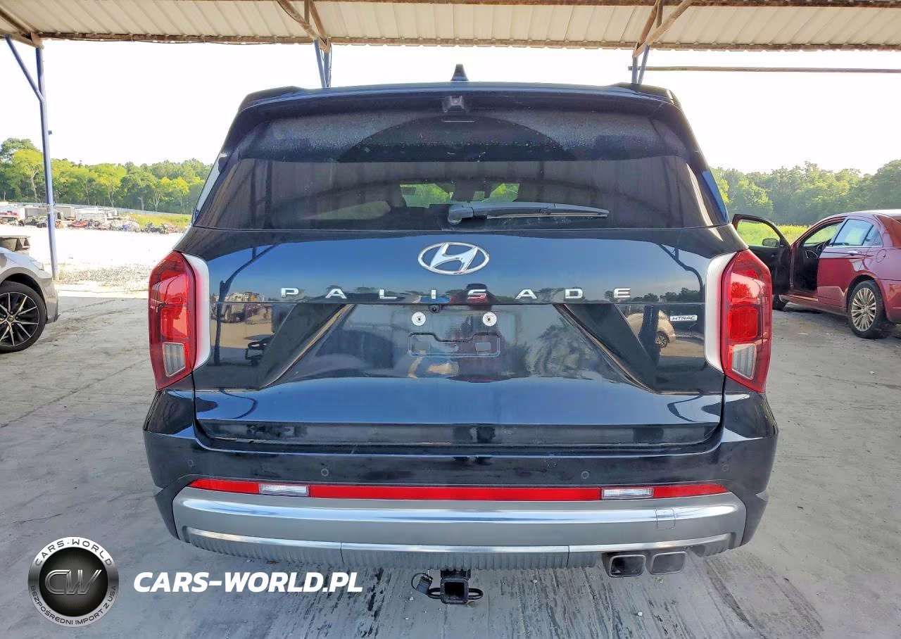 2024 Hyundai Palisade Calligraphy VIN:KM8R7DGE4RU647627 - 6