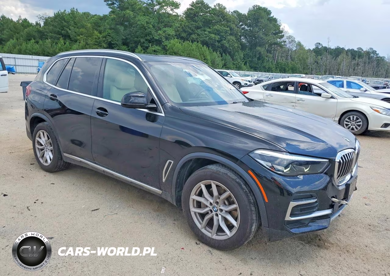 2022 BMW X5 xDrive40I VIN:5UXCR6C03N9J37663 - 4