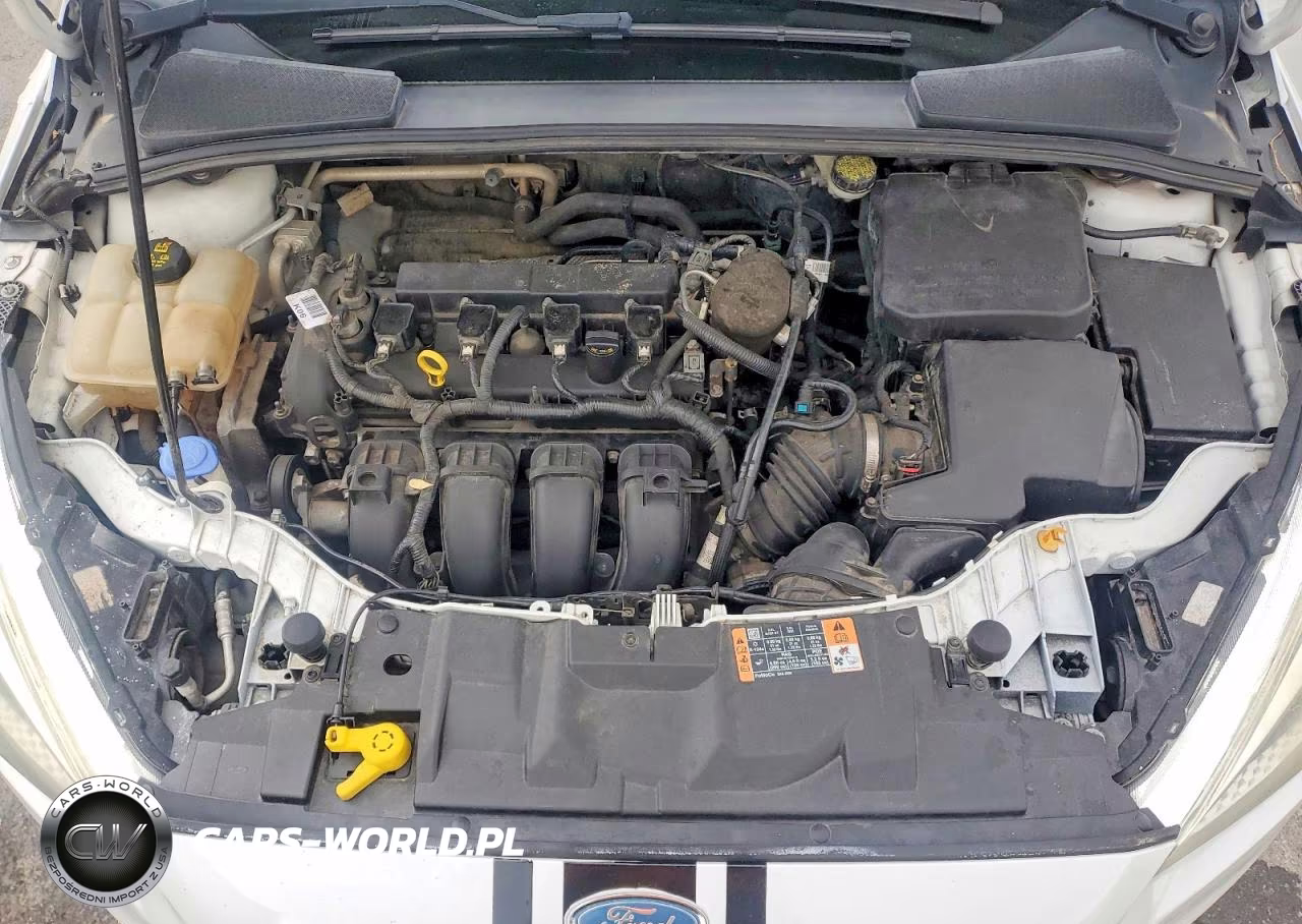 2015 FORD FOCUS SE VIN:1FADP3F22FL354428 - 11