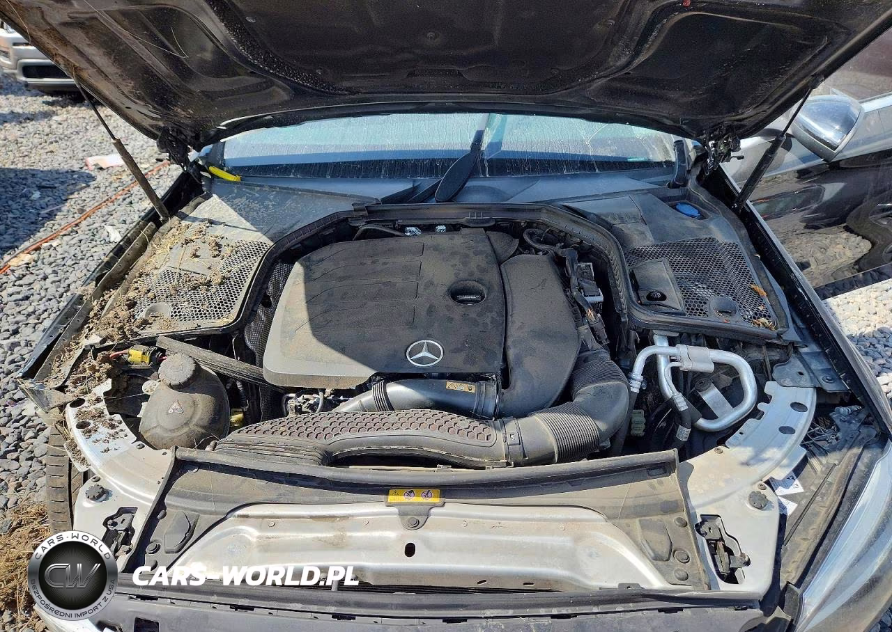 2020 Mercedes-Benz C 300 VIN:W1KWF8DBXLR600081 - 11