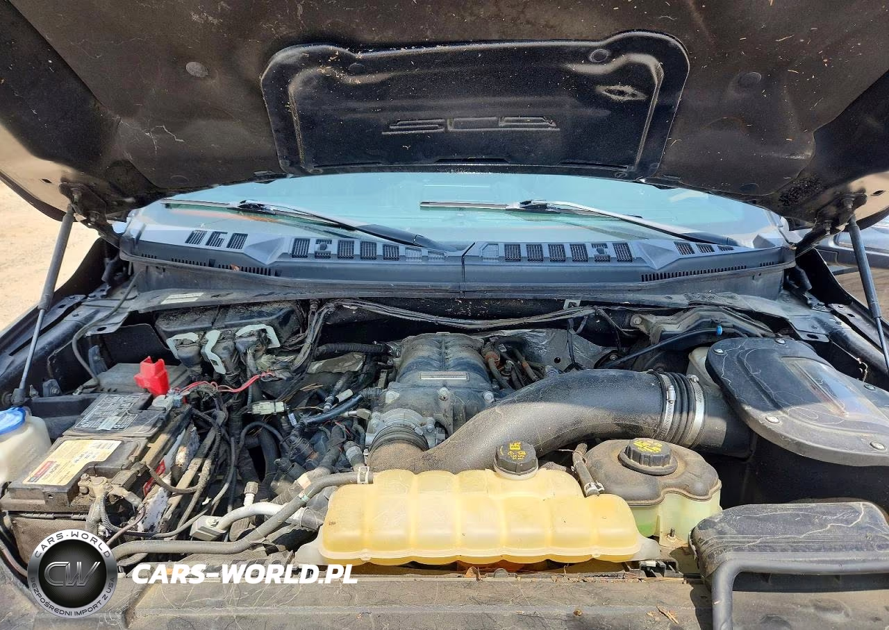 2019 Ford F150 Supercrew VIN:1FTEW1E57KFA95994 - 11