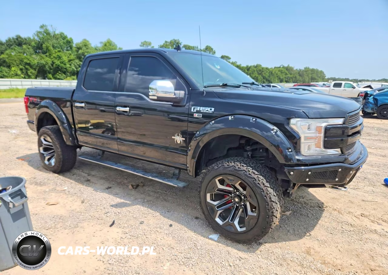 2019 Ford F150 Supercrew VIN:1FTEW1E57KFA95994 - 4