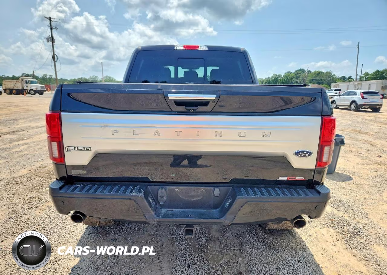 2019 Ford F150 Supercrew VIN:1FTEW1E57KFA95994 - 6