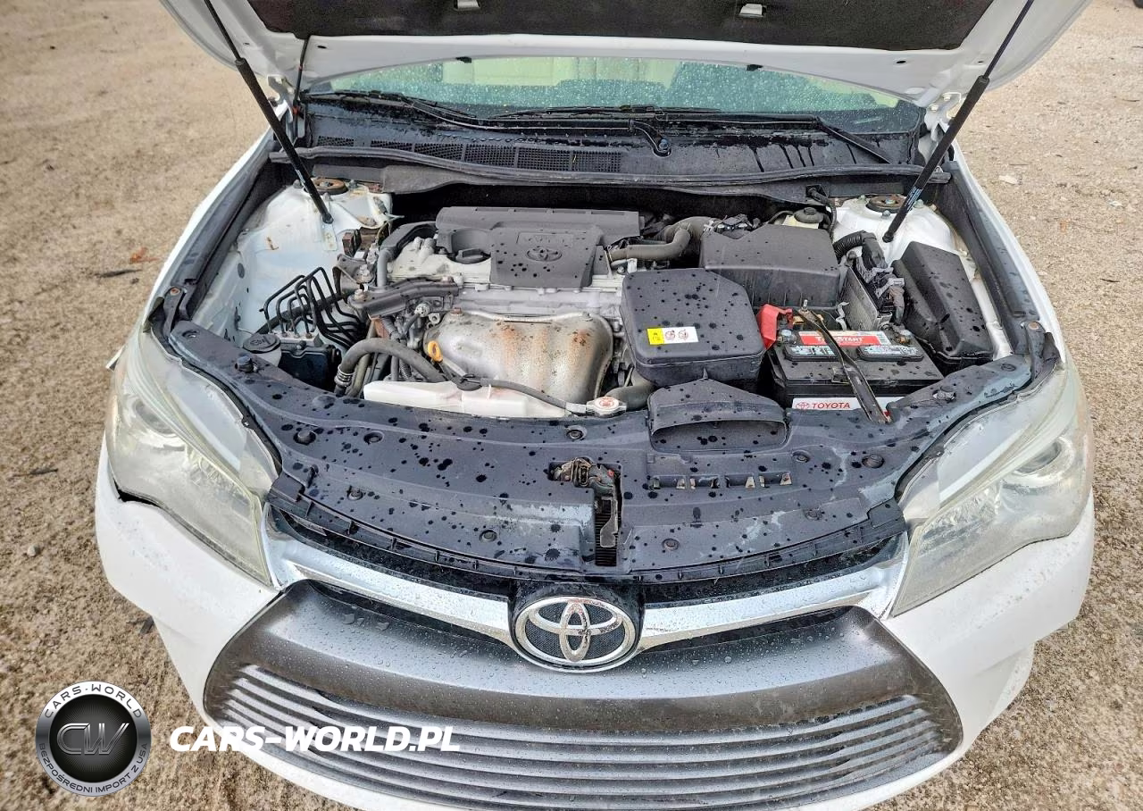 2017 Toyota Camry Xle VIN:4T1BF1FK1HU685695 - 11