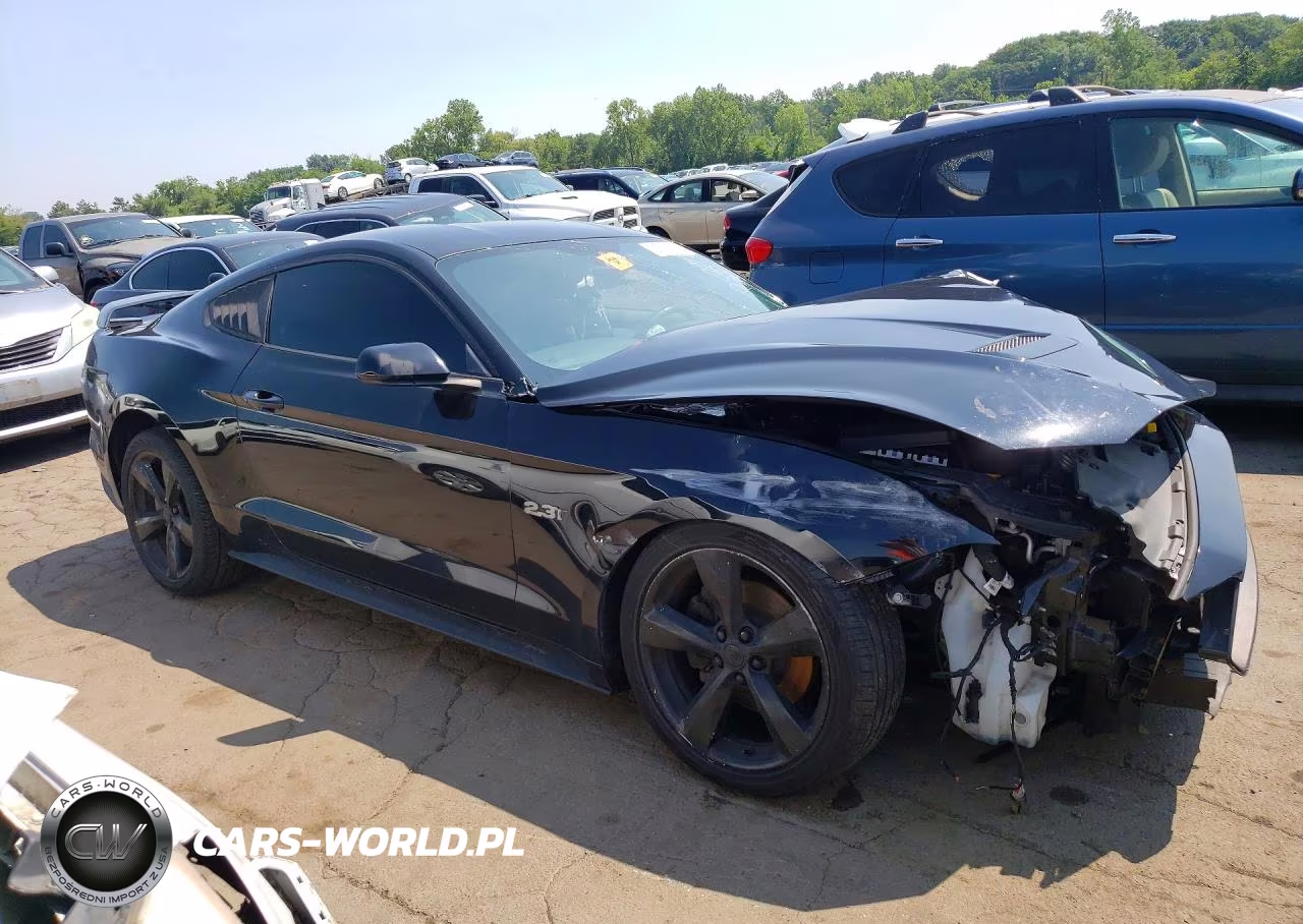 2019 Ford Mustang VIN:1FA6P8TH7K5108536 - 4