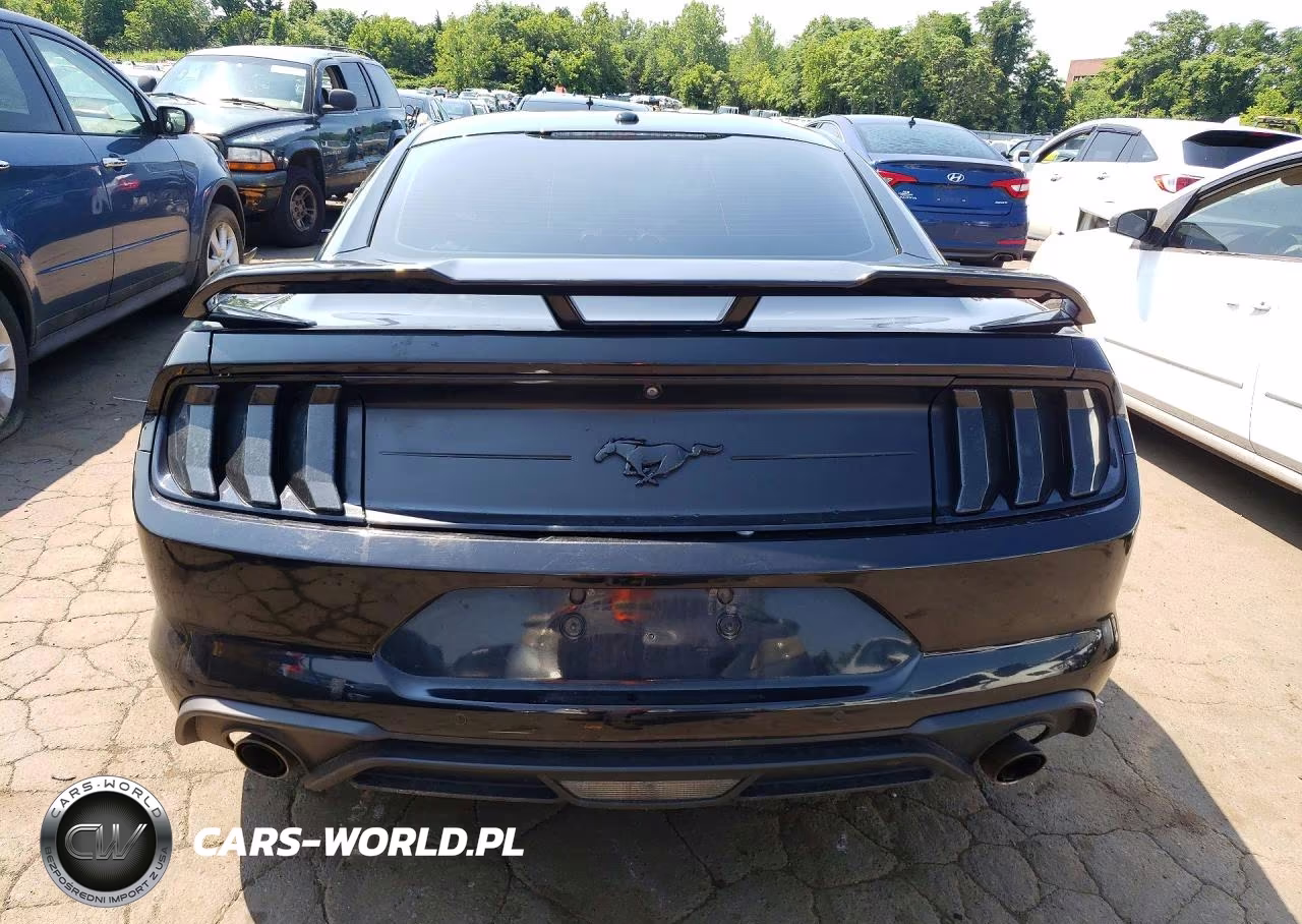 2019 Ford Mustang VIN:1FA6P8TH7K5108536 - 6