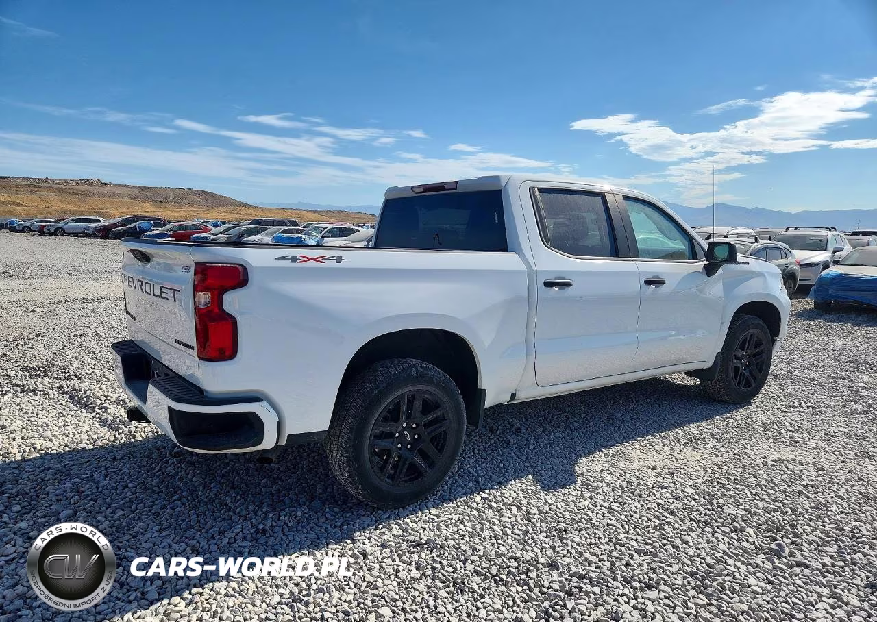 2024 Chevrolet Silverado K1500 Custom VIN:1GCPDBEKXRZ246779 - 3