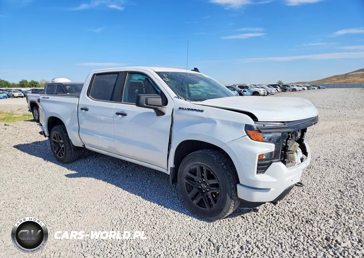 2024 Chevrolet Silverado K1500 Custom VIN:1GCPDBEKXRZ246779 - 4