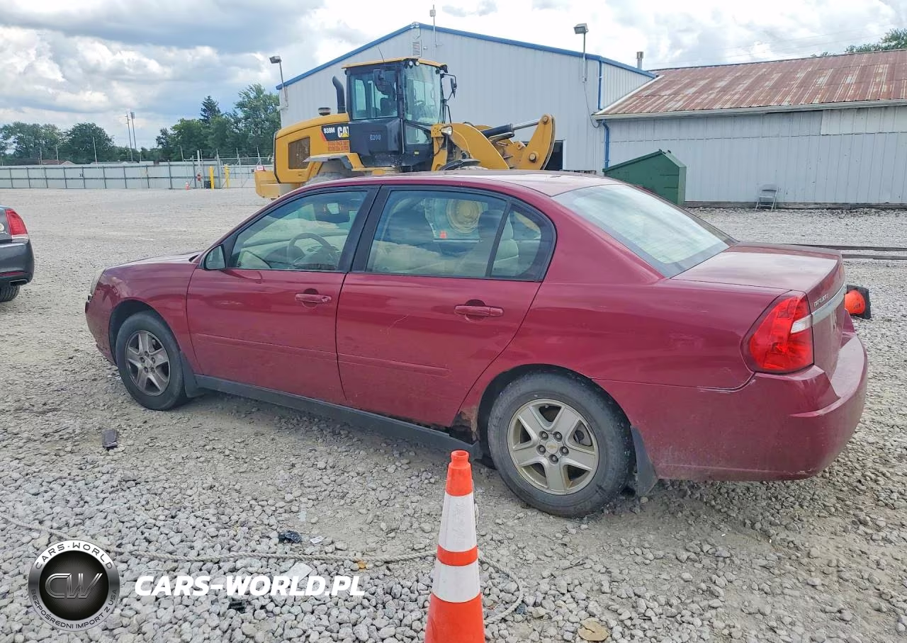 2005 Chevrolet Malibu Ls VIN:1G1ZT54895F220956 - 2