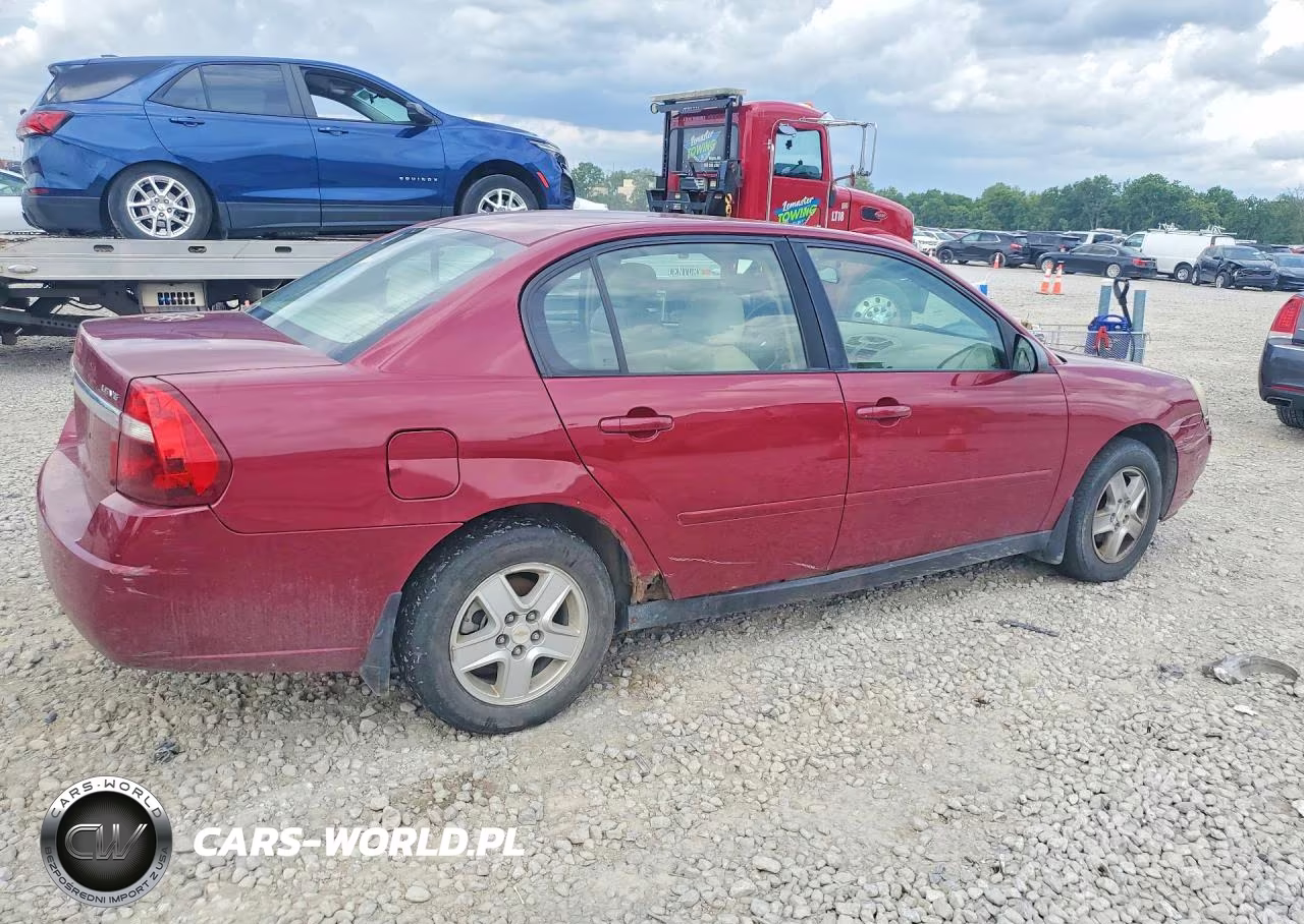 2005 Chevrolet Malibu Ls VIN:1G1ZT54895F220956 - 3