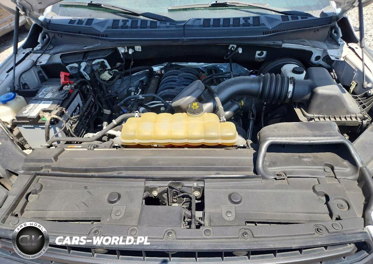 2019 Ford F150 Supercrew VIN:1FTEW1C52KFC95779 - 11