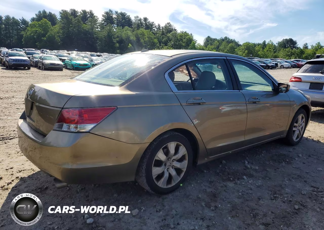 2010 Honda Accord Exl VIN:1HGCP2F87AA134311 - 3