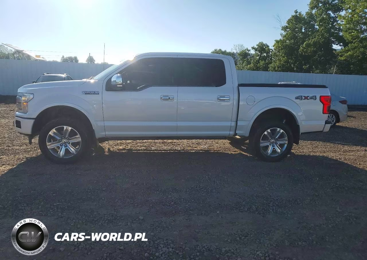 2018 Ford F-150 Platinum VIN:1FTEW1EG2JFC68059 - 12