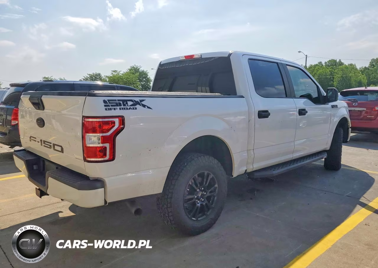 2020 Ford F-150 VIN:1FTEW1EP4LKD96877 - 3