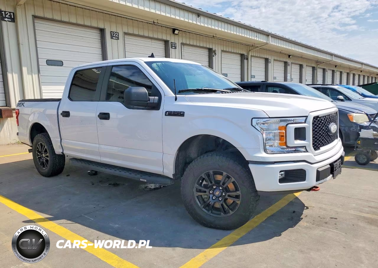 2020 Ford F-150 VIN:1FTEW1EP4LKD96877 - 4