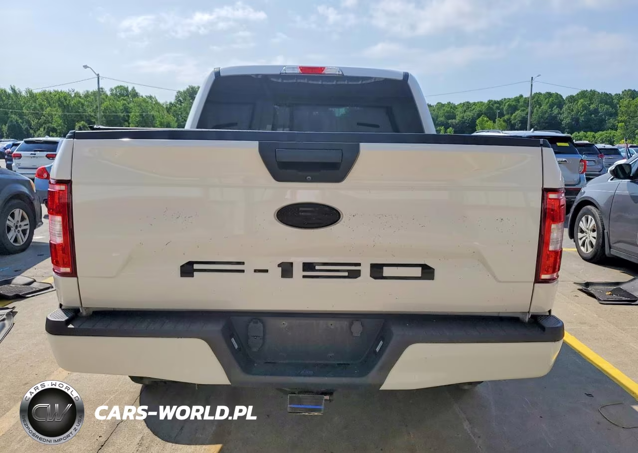 2020 Ford F-150 VIN:1FTEW1EP4LKD96877 - 6