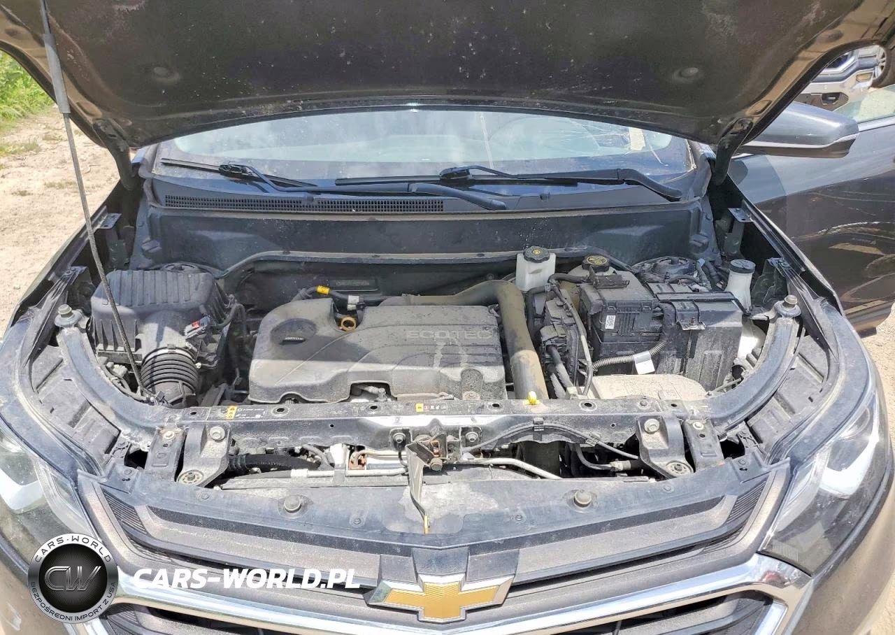 2019 Chevrolet Equinox Lt VIN:2GNAXJEV7K6224426 - 12
