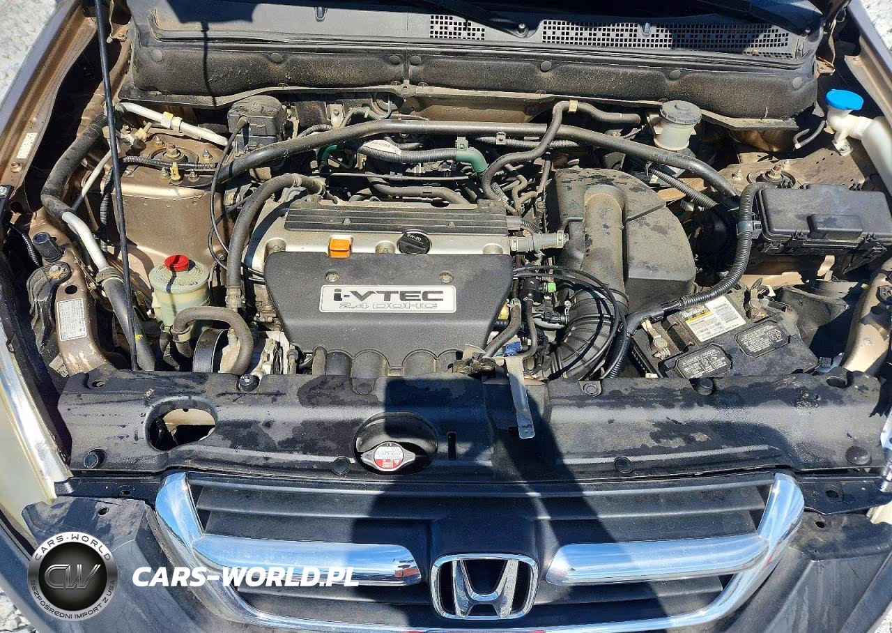 2004 Honda Cr-V Lx VIN:SHSRD68494U201031 - 12