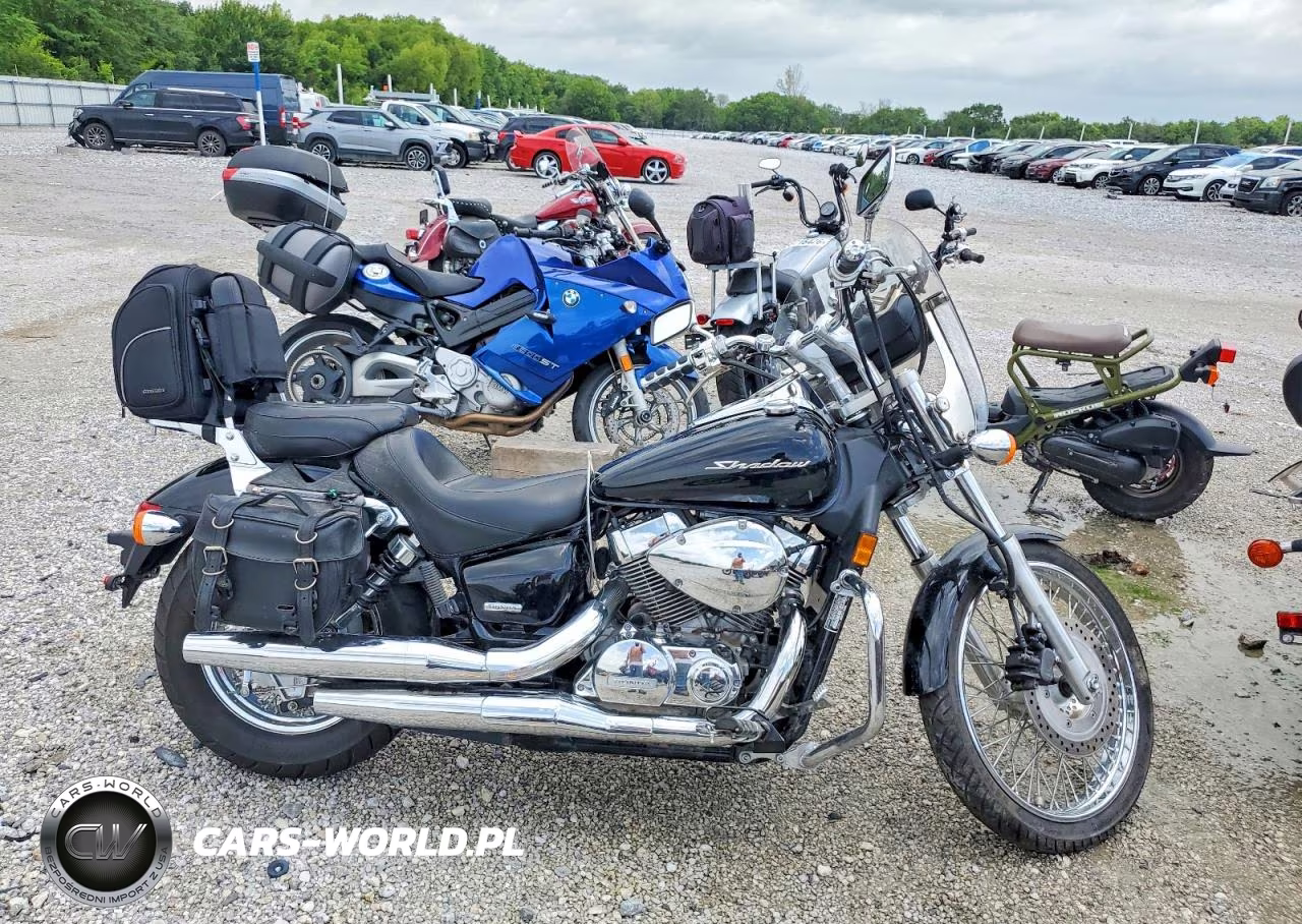 2009 Honda Vt750 C2