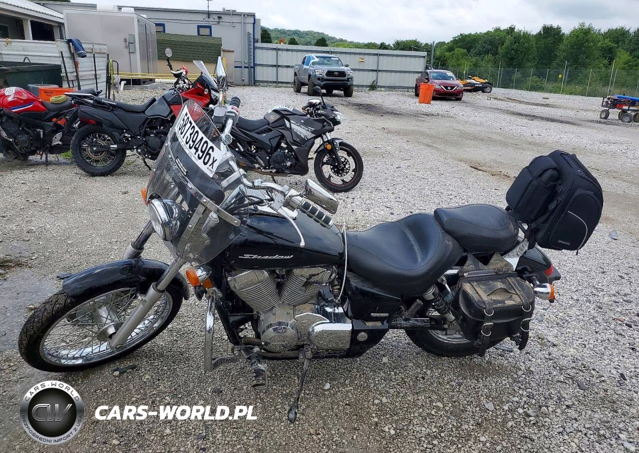2009 Honda Vt750 C2 VIN:JH2RC53039K202122 - 3