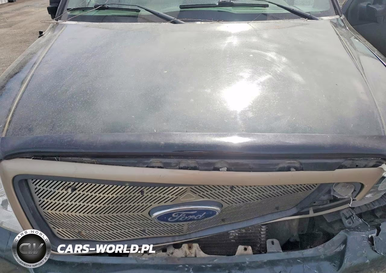 2004 Ford F-150 4X4 Stysd VIN:1FTPX14504KA90685 - 11