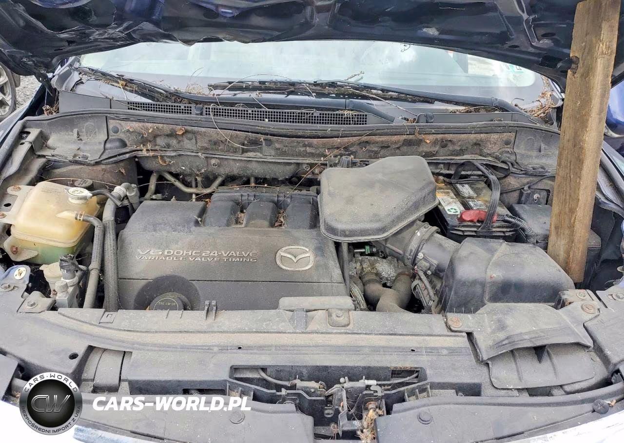 2007 Mazda Cx-9 VIN:JM3TB38Y370114157 - 12